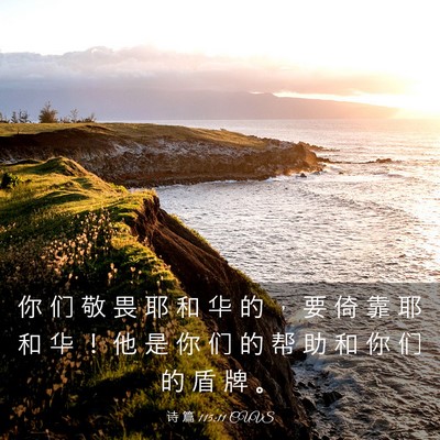 Picture 03 - 诗 篇 115:11 CUVS - 你 们 敬 畏 耶 和 华 的 ， 要 倚 靠 - Bible Verse Picture