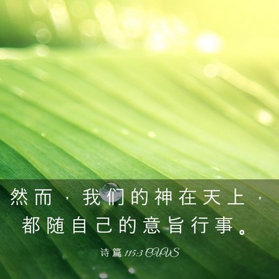Picture 03 - 诗 篇 115:3 CUVS - 然 而 ， 我 们 的 神 在 天 上 ， 都 - Bible Verse Picture