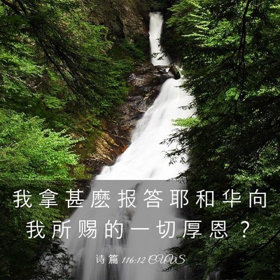 Picture 03 - 诗 篇 116:12 CUVS - 我 拿 甚 麽 报 答 耶 和 华 向 我 所 - Bible Verse Picture