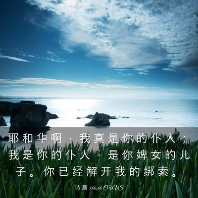 Picture 03 - 诗 篇 116:16 CUVS - 耶 和 华 啊 ， 我 真 是 你 的 仆 人 - Bible Verse Picture