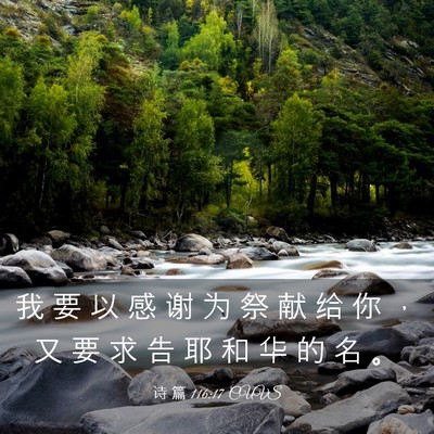 Picture 03 - 诗 篇 116:17 CUVS - 我 要 以 感 谢 为 祭 献 给 你 ， 又 - Bible Verse Picture