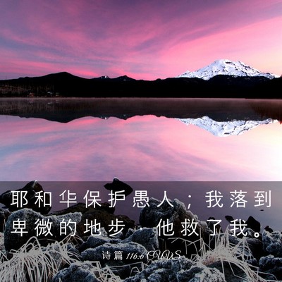 Picture 03 - 诗 篇 116:6 CUVS - 耶 和 华 保 护 愚 人 ； 我 落 到 卑 - Bible Verse Picture