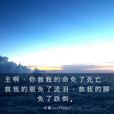 Picture 03 - 诗 篇 116:8 CUVS - 主 啊 ， 你 救 我 的 命 免 了 死 亡 - Bible Verse Picture