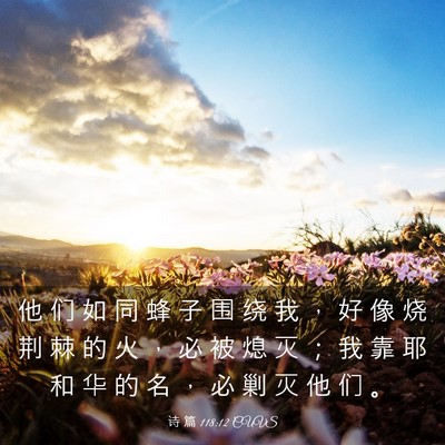 Picture 03 - 诗 篇 118:12 CUVS - 他 们 如 同 蜂 子 围 绕 我 ， 好 像 - Bible Verse Picture