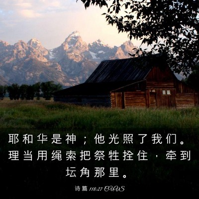 Picture 03 - 诗 篇 118:27 CUVS - 耶 和 华 是 神 ； 他 光 照 了 我 们 - Bible Verse Picture