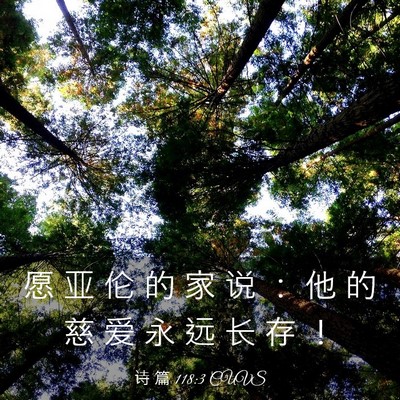 Picture 03 - 诗 篇 118:3 CUVS - 愿 亚 伦 的 家 说 ： 他 的 慈 爱 永 - Bible Verse Picture