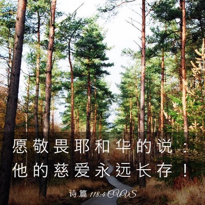 Picture 03 - 诗 篇 118:4 CUVS - 愿 敬 畏 耶 和 华 的 说 ： 他 的 慈 - Bible Verse Picture