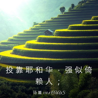 Picture 03 - 诗 篇 118:8 CUVS - 投 靠 耶 和 华 ， 强 似 倚 赖 人 - Bible Verse Picture