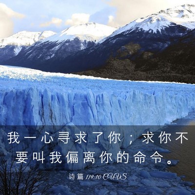 Picture 03 - 诗 篇 119:10 CUVS - 我 一 心 寻 求 了 你 ； 求 你 不 要 - Bible Verse Picture
