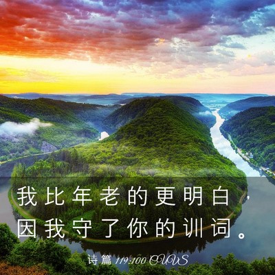 Picture 03 - 诗 篇 119:100 CUVS - 我 比 年 老 的 更 明 白 ， 因 我 守 - Bible Verse Picture