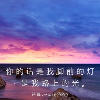 Picture 03 - 诗 篇 119:105 CUVS - 你 的 话 是 我 脚 前 的 灯 ， 是 我 - Bible Verse Picture