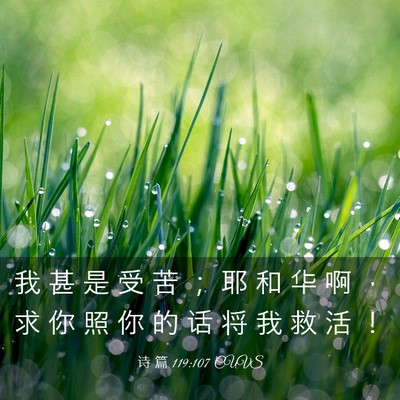 Picture 03 - 诗 篇 119:107 CUVS - 我 甚 是 受 苦 ； 耶 和 华 啊 ， 求 - Bible Verse Picture