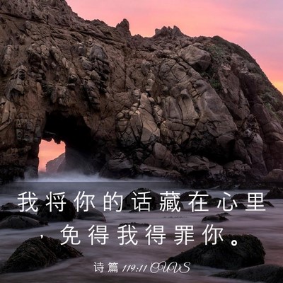 Picture 03 - 诗 篇 119:11 CUVS - 我 将 你 的 话 藏 在 心 里 ， 免 得 - Bible Verse Picture