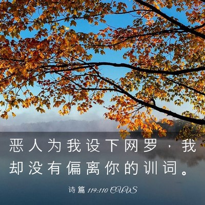 Picture 03 - 诗 篇 119:110 CUVS - 恶 人 为 我 设 下 网 罗 ， 我 却 没 - Bible Verse Picture