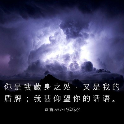 Picture 03 - 诗 篇 119:114 CUVS - 你 是 我 藏 身 之 处 ， 又 是 我 的 - Bible Verse Picture
