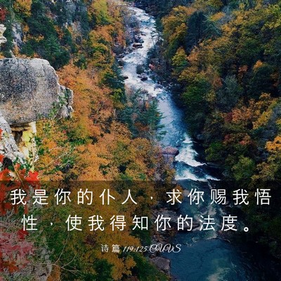 Picture 03 - 诗 篇 119:125 CUVS - 我 是 你 的 仆 人 ， 求 你 赐 我 悟 - Bible Verse Picture