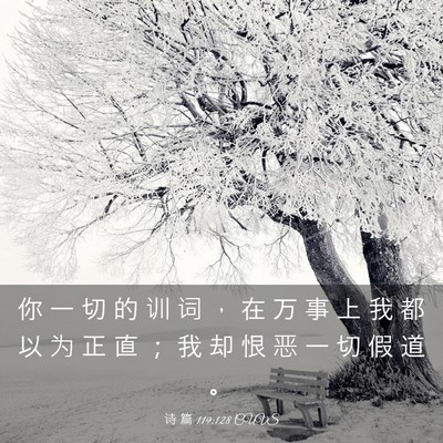Picture 03 - 诗 篇 119:128 CUVS - 你 一 切 的 训 词 ， 在 万 事 上 我 - Bible Verse Picture