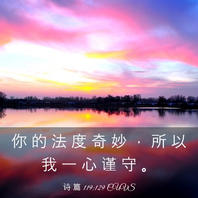 Picture 03 - 诗 篇 119:129 CUVS - 你 的 法 度 奇 妙 ， 所 以 我 一 心 - Bible Verse Picture
