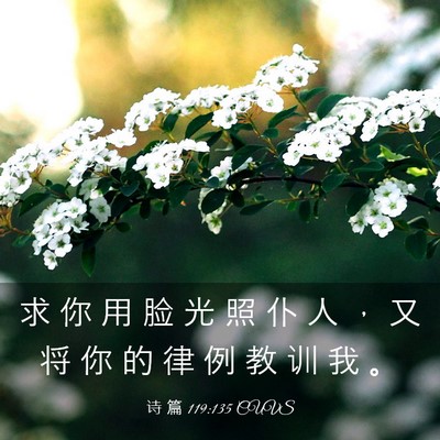 Picture 03 - 诗 篇 119:135 CUVS - 求 你 用 脸 光 照 仆 人 ， 又 将 你 - Bible Verse Picture