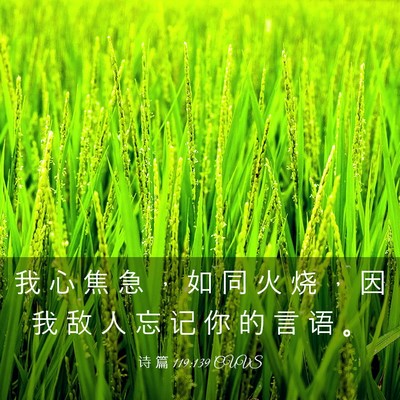 Picture 03 - 诗 篇 119:139 CUVS - 我 心 焦 急 ， 如 同 火 烧 ， 因 我 - Bible Verse Picture