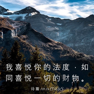 Picture 03 - 诗 篇 119:14 CUVS - 我 喜 悦 你 的 法 度 ， 如 同 喜 悦 - Bible Verse Picture