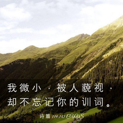 Picture 03 - 诗 篇 119:141 CUVS - 我 微 小 ， 被 人 藐 视 ， 却 不 忘 - Bible Verse Picture