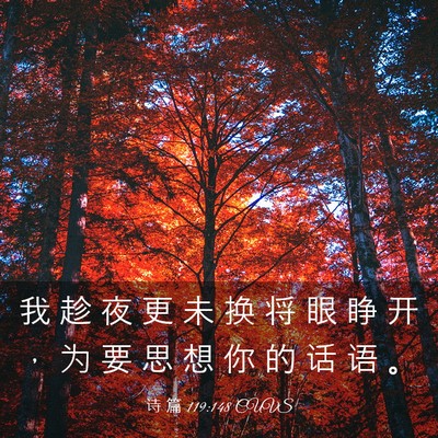 Picture 03 - 诗 篇 119:148 CUVS - 我 趁 夜 更 未 换 将 眼 睁 开 ， 为 - Bible Verse Picture