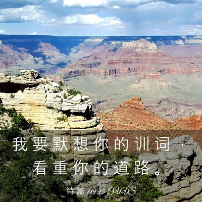 Picture 03 - 诗 篇 119:15 CUVS - 我 要 默 想 你 的 训 词 ， 看 重 你 - Bible Verse Picture