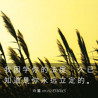 Picture 03 - 诗 篇 119:152 CUVS - 我 因 学 你 的 法 度 ， 久 已 知 道 - Bible Verse Picture