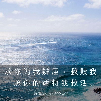 Picture 03 - 诗 篇 119:154 CUVS - 求 你 为 我 辨 屈 ， 救 赎 我 ， 照 - Bible Verse Picture