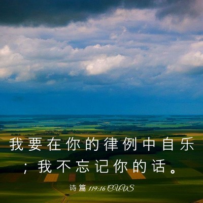 Picture 03 - 诗 篇 119:16 CUVS - 我 要 在 你 的 律 例 中 自 乐 ； 我 - Bible Verse Picture