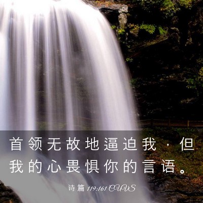 Picture 03 - 诗 篇 119:161 CUVS - 首 领 无 故 地 逼 迫 我 ， 但 我 的 - Bible Verse Picture