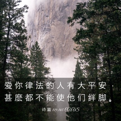 Picture 03 - 诗 篇 119:165 CUVS - 爱 你 律 法 的 人 有 大 平 安 ， 甚 - Bible Verse Picture