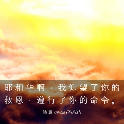 Picture 03 - 诗 篇 119:166 CUVS - 耶 和 华 啊 ， 我 仰 望 了 你 的 救 - Bible Verse Picture
