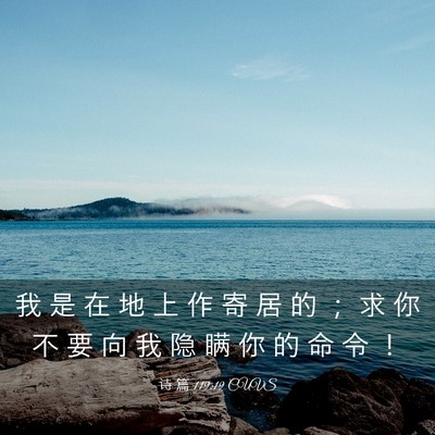 Picture 03 - 诗 篇 119:19 CUVS - 我 是 在 地 上 作 寄 居 的 ； 求 你 - Bible Verse Picture