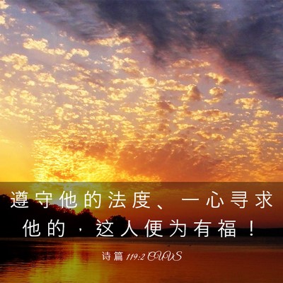 Picture 03 - 诗 篇 119:2 CUVS - 遵 守 他 的 法 度 、 一 心 寻 求 他 - Bible Verse Picture