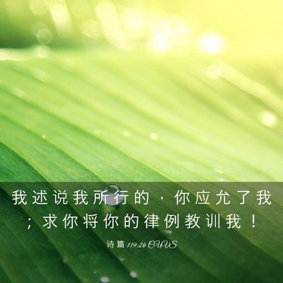 Picture 03 - 诗 篇 119:26 CUVS - 我 述 说 我 所 行 的 ， 你 应 允 了 - Bible Verse Picture