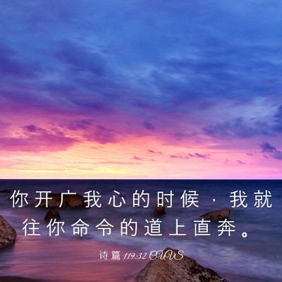 Picture 03 - 诗 篇 119:32 CUVS - 你 开 广 我 心 的 时 候 ， 我 就 往 - Bible Verse Picture