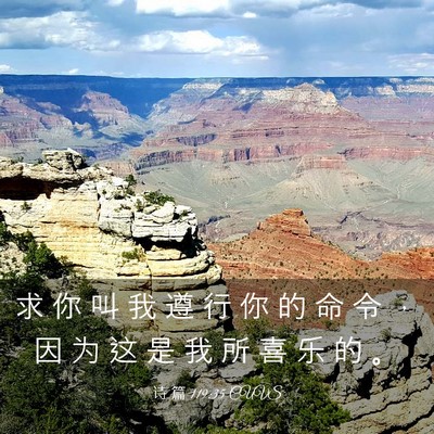 Picture 03 - 诗 篇 119:35 CUVS - 求 你 叫 我 遵 行 你 的 命 令 ， 因 - Bible Verse Picture