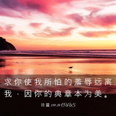 Picture 03 - 诗 篇 119:39 CUVS - 求 你 使 我 所 怕 的 羞 辱 远 离 我 - Bible Verse Picture