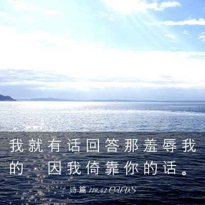 Picture 03 - 诗 篇 119:42 CUVS - 我 就 有 话 回 答 那 羞 辱 我 的 ， - Bible Verse Picture