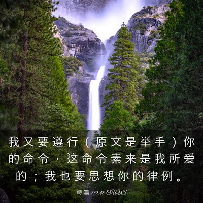 Picture 03 - 诗 篇 119:48 CUVS - 我 又 要 遵 行 （ 原 文 是 举 手 ） - Bible Verse Picture
