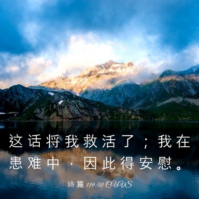 Picture 03 - 诗 篇 119:50 CUVS - 这 话 将 我 救 活 了 ； 我 在 患 难 - Bible Verse Picture