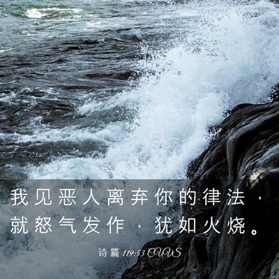 Picture 03 - 诗 篇 119:53 CUVS - 我 见 恶 人 离 弃 你 的 律 法 ， 就 - Bible Verse Picture