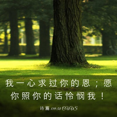 Picture 03 - 诗 篇 119:58 CUVS - 我 一 心 求 过 你 的 恩 ； 愿 你 照 - Bible Verse Picture