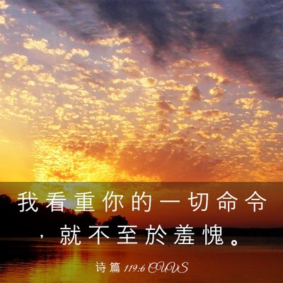 Picture 03 - 诗 篇 119:6 CUVS - 我 看 重 你 的 一 切 命 令 ， 就 不 - Bible Verse Picture