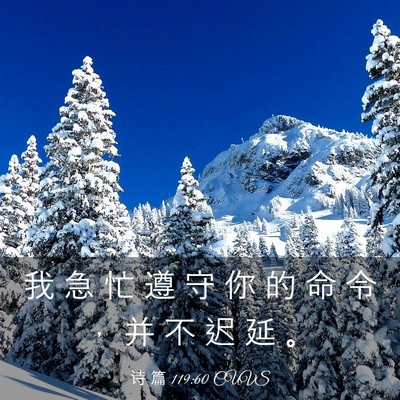 Picture 03 - 诗 篇 119:60 CUVS - 我 急 忙 遵 守 你 的 命 令 ， 并 不 - Bible Verse Picture