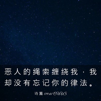 Picture 03 - 诗 篇 119:61 CUVS - 恶 人 的 绳 索 缠 绕 我 ， 我 却 没 - Bible Verse Picture