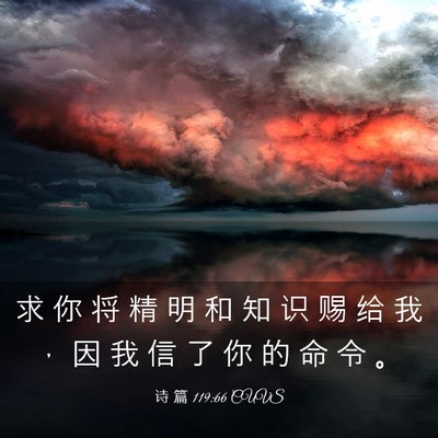 Picture 03 - 诗 篇 119:66 CUVS - 求 你 将 精 明 和 知 识 赐 给 我 ， - Bible Verse Picture