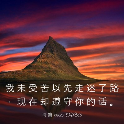 Picture 03 - 诗 篇 119:67 CUVS - 我 未 受 苦 以 先 走 迷 了 路 ， 现 - Bible Verse Picture
